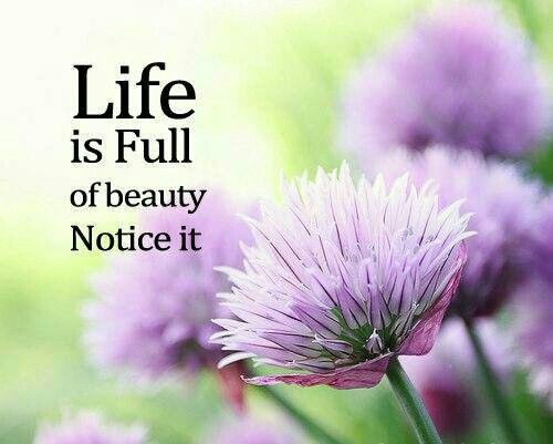 Life is full of beauty; notice it.