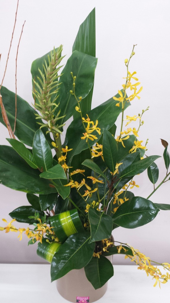 Golden orchids and ginger foliage