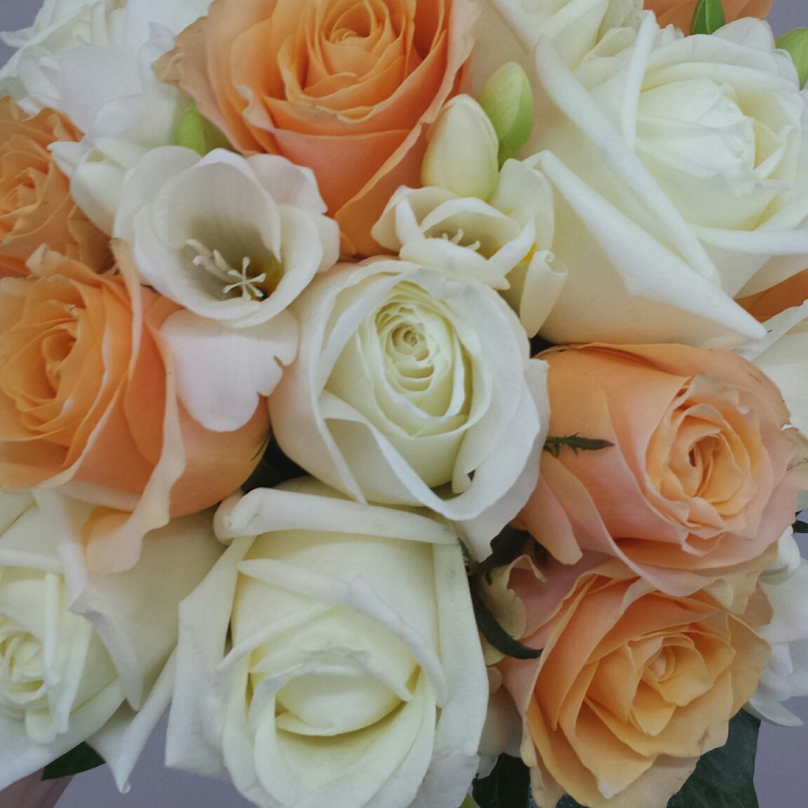 apricot and white roses with freesia