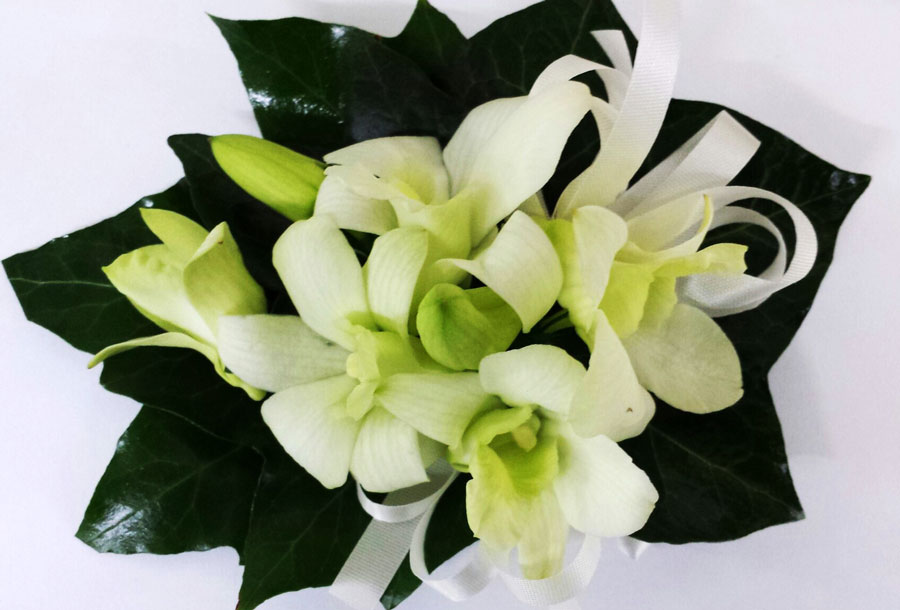 classic singapore orchid corsage