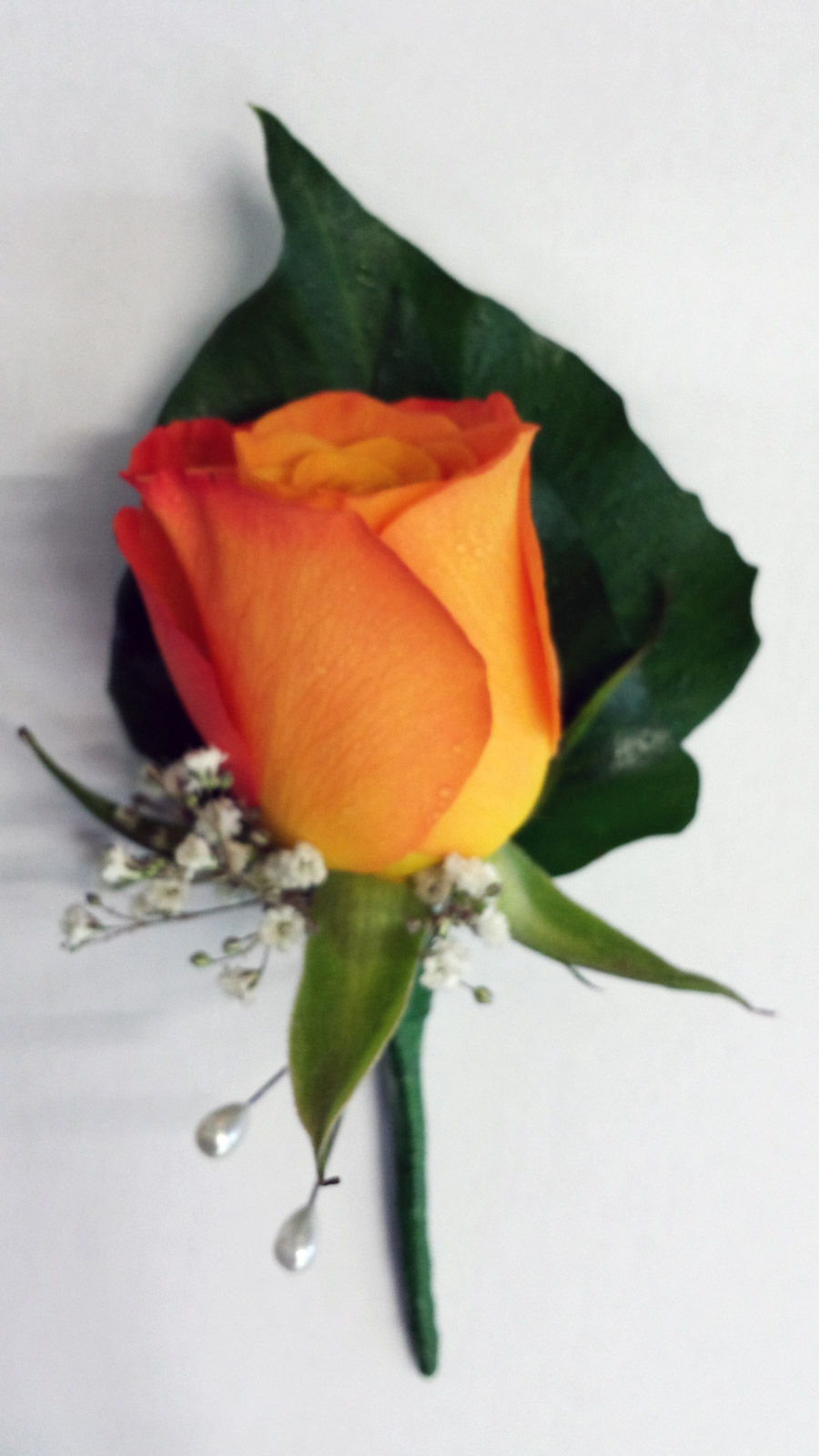 orange-rose with cluster of gyp buttonhole