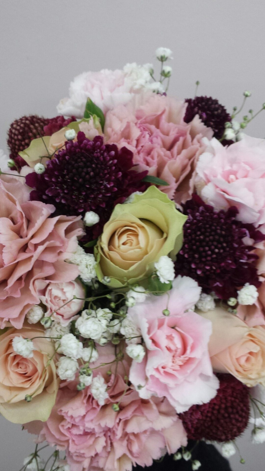 pastels with hint of magenta scabiosa flower