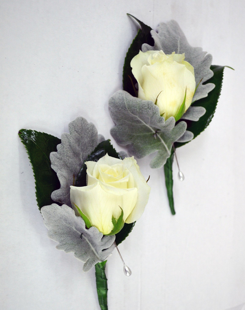 White rose and Dusty miller foliage buttonhole