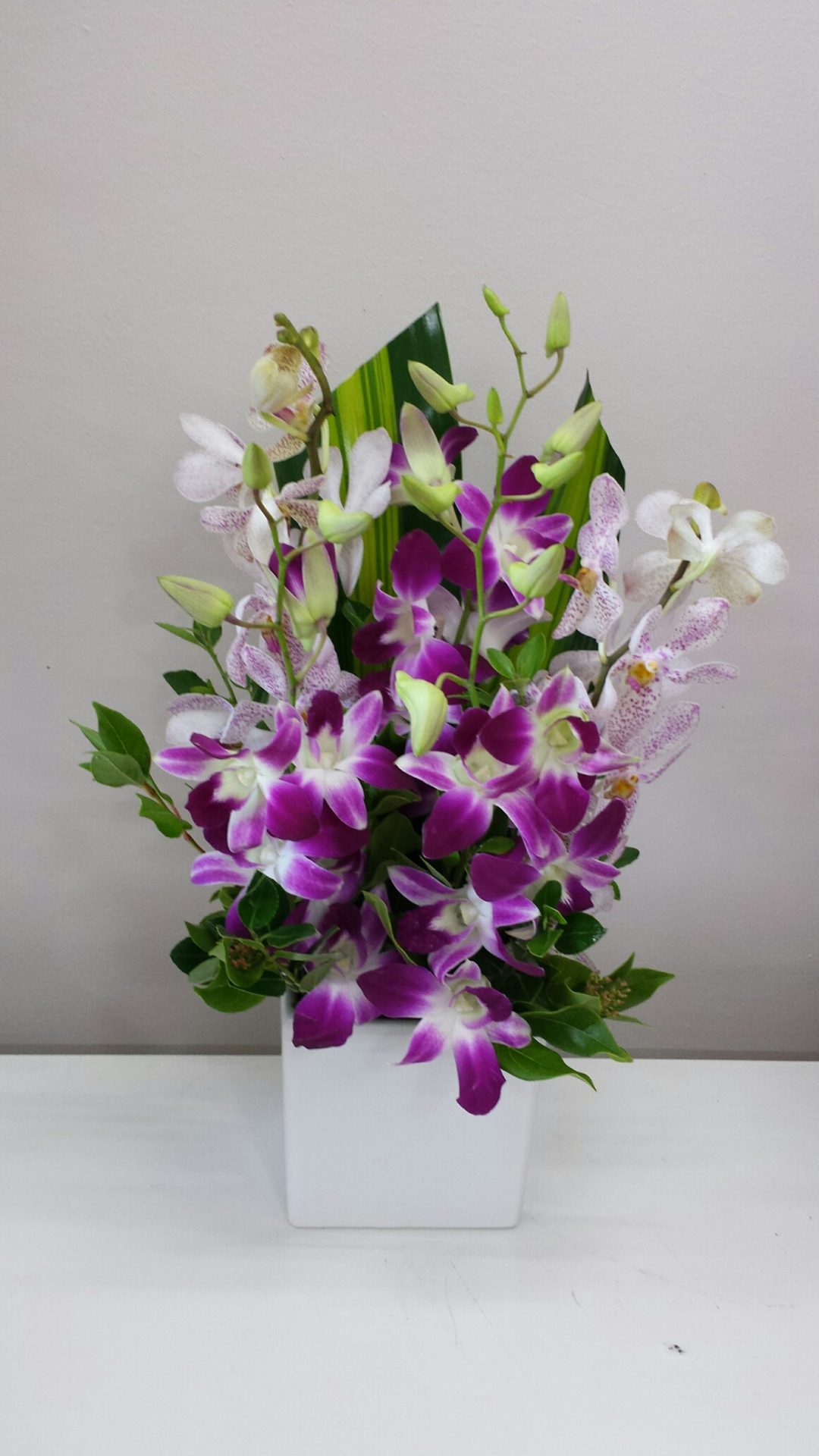 Orchid Ceramic