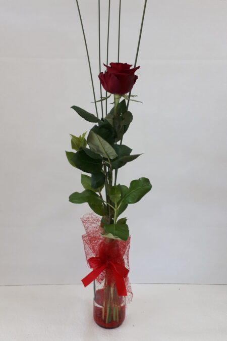 SIngle Rose bud vase